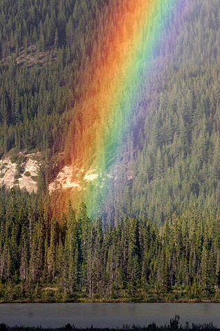 Image courtesy Wing-Chi Poon, CC BY-SA 2.5 Rainbow